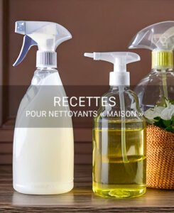 Recettes